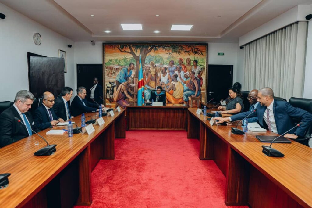 Guerre dans l’Est de la RDC : l’UE confirme l’envoi d’un convoi humanitaire de 44 tonnes aux populations du Kivu